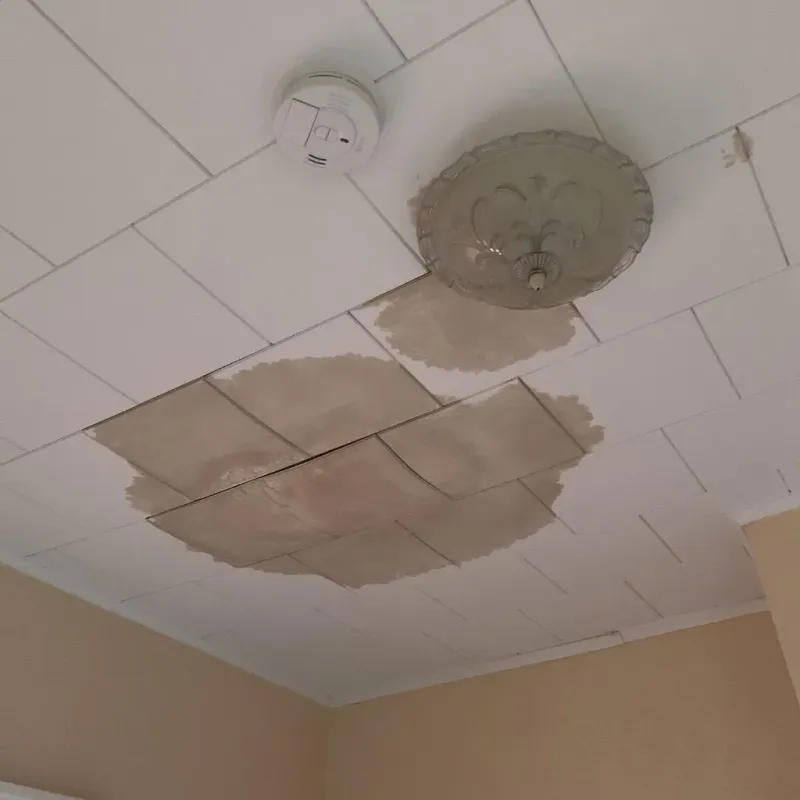 Ceiling Water Damage Repair in Mayersville, MS