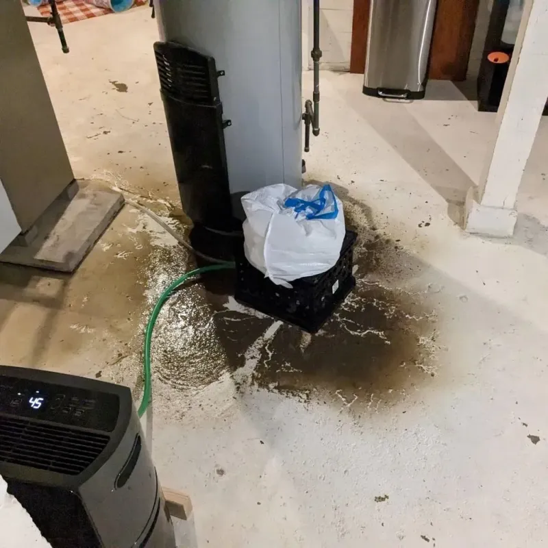 Sewage Backup Cleanup Service in Mayersville, MS